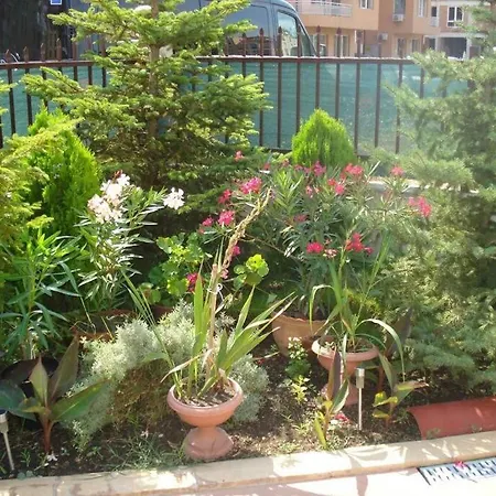 однокомнатные Summer Breeze 207 Apartment Sunny Beach